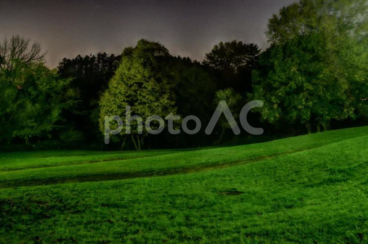 夜の公園のイメージ 夜,公園,ひっそりの写真素材