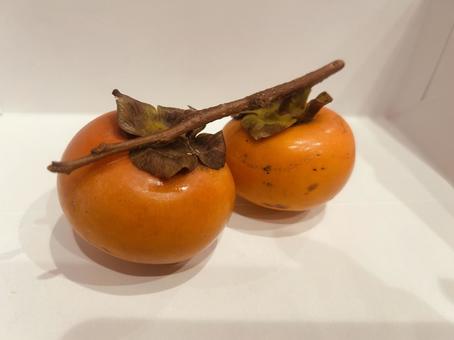 カキ 柿,枝付き柿,果物の写真素材