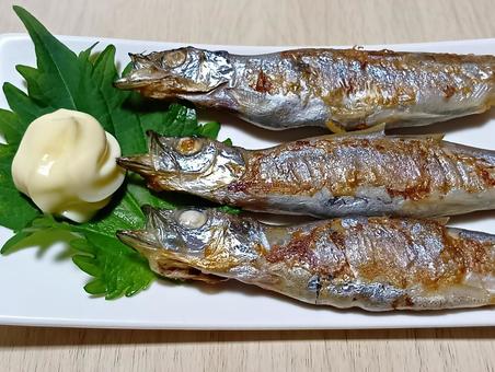 焼きししゃも 焼きししゃも,ししゃも,和食の写真素材