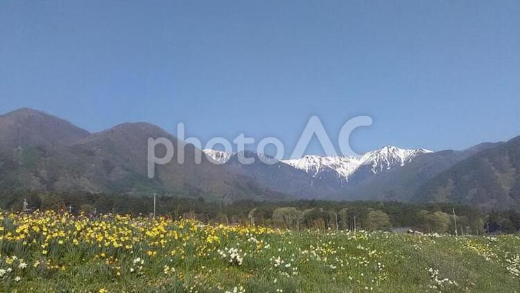 長野　山の景色と花 長野,山,何人もありませんの写真素材