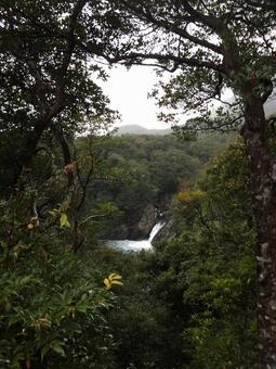 滝 屋久島,自然,絶景の写真素材