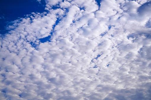 秋の空 青空と雲,晴れた空,波状雲の写真素材