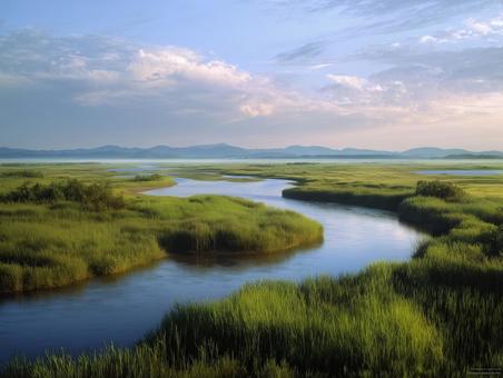 青空と緑の草が広がる静かな湿原 青空と緑の草が広がる静かな湿原の写真
