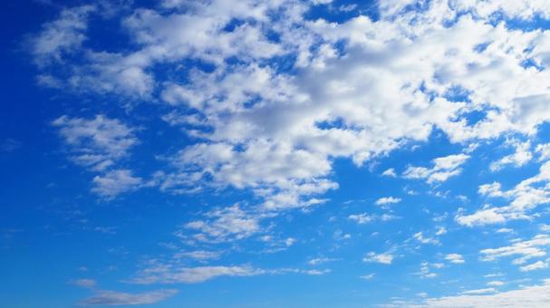 秋の空・青空&うろこ雲 秋の空・青空&うろこ雲 秋,うろこ雲,青空の写真素材