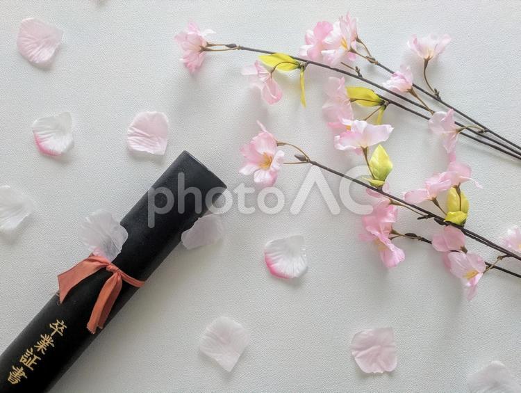 テクスチャ（卒業、卒業式、桜花びら）10 テクスチャ,卒業式,卒業の写真素材