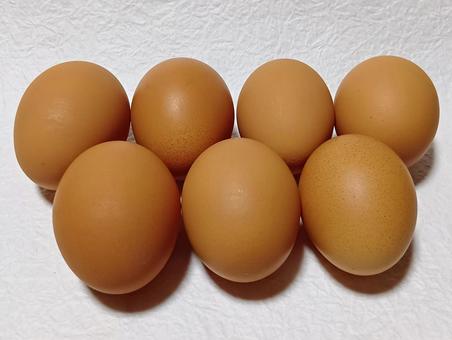 赤たまご 卵,たまご,生卵の写真素材