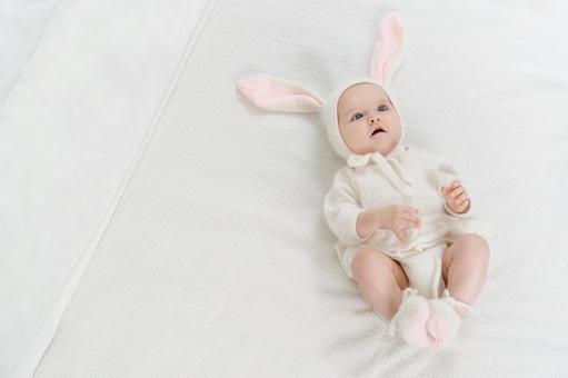 仰向けでうさぎの衣裳を着た赤ちゃん 仰向けでうさぎの衣裳を着た赤ちゃん 赤ちゃん,かわいい,うさぎの写真素材