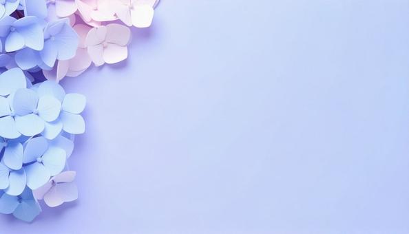 美しい紫陽花 アート 美しい紫陽花 アートの写真