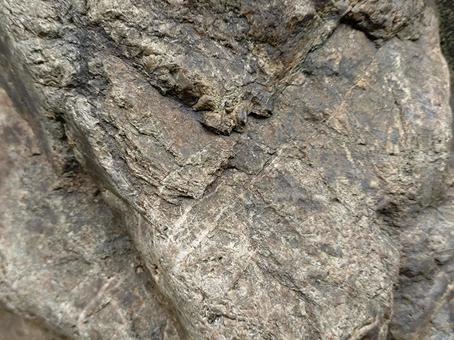 岩肌テクスチャ３ 岩,岩肌,岩石の写真素材