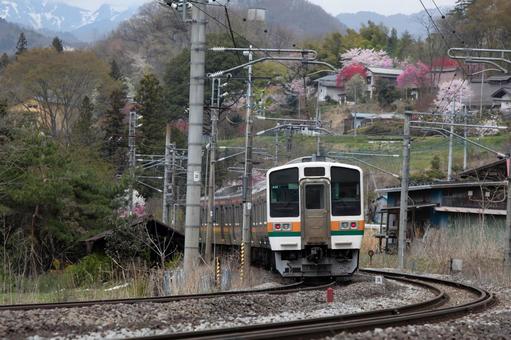 春色の電車 春色の電車の写真