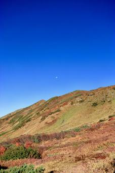 10年ぶりの紅葉当たり年 10年ぶりの紅葉当たり年 立山,室堂,紅葉の写真素材