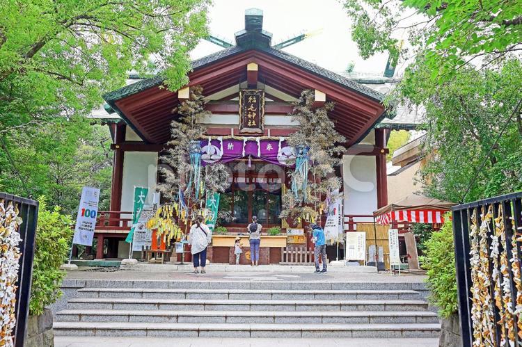 稲毛神社（川崎） 稲毛神社,武甕槌神,経津主神の写真素材
