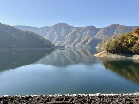 秋の福井県の九頭竜ダム　紅葉に色づく湖の写真