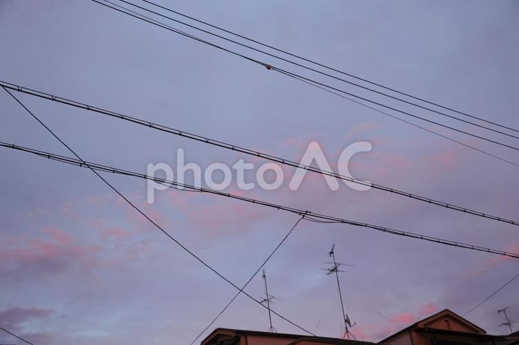 電線と夕景 避雷針,アンテナ,夕景の写真素材