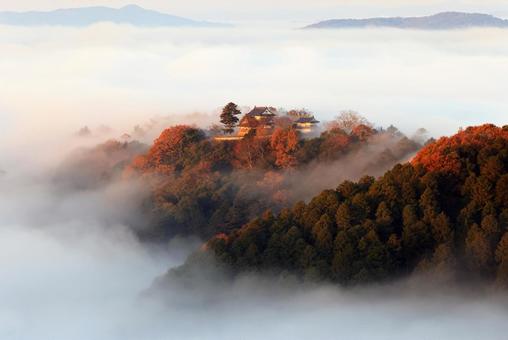 天空の山城 天空の山城 天空の城,天空の山城,備中松山城の写真素材