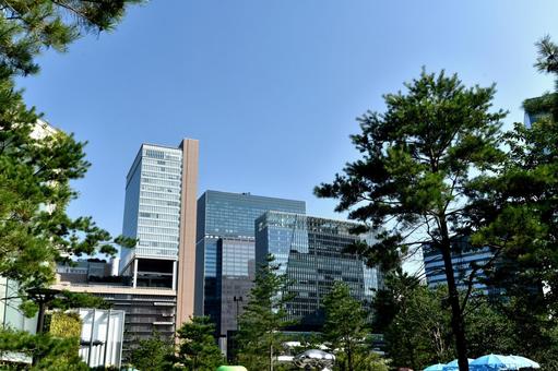 梅田のビル群 梅田のビル群 梅田,ビル群,商業施設の写真素材