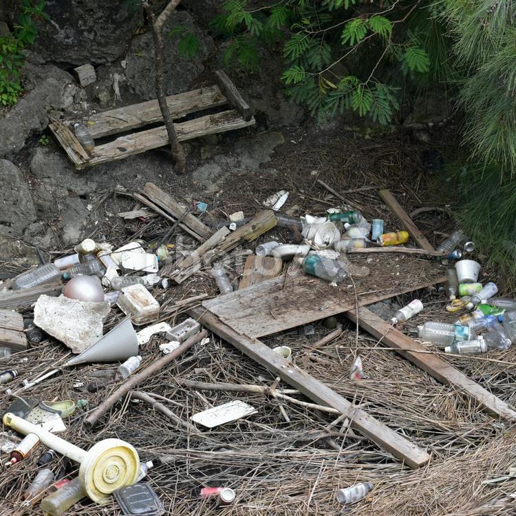 池の不法投棄ゴミ ゴミ,不法投棄,プラごみの写真素材