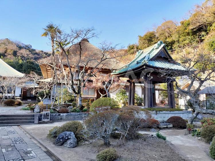 鎌倉　扇谷山「海蔵寺」鐘楼と境内 海蔵寺,鐘楼,扇谷山の写真素材