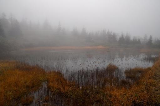 霧に包まれた湿原と草紅葉 岩手県,三ツ石山,山の写真素材