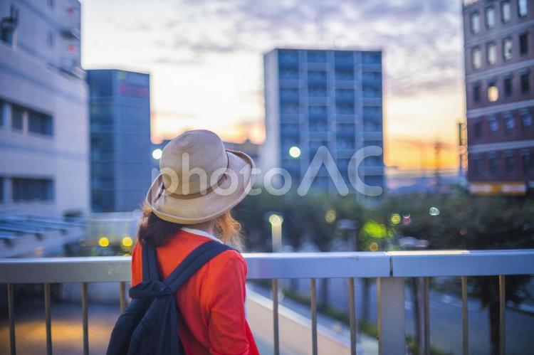 朝焼けを眺める女性の後ろ姿 旅人,帽子,リラックスの写真素材
