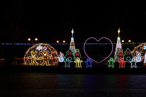 賑やかなとっとり花回廊のイルミネーション とっとり花回廊,イルミネーション,ライトアップの写真素材