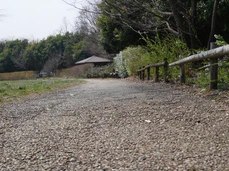 公園の散歩道 公園の散歩道の写真