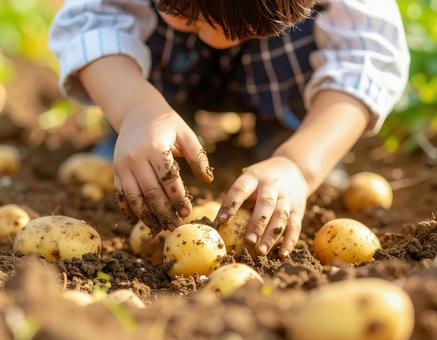 泥だらけの手でじゃがいもを持つ子供の姿 泥だらけの手でじゃがいもを持つ子供の姿の写真