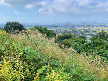 秋の昼間 愛媛県伊予灘からの盆地風景 秋の昼間 愛媛県伊予灘からの盆地風景 風景,自然,緑の写真素材