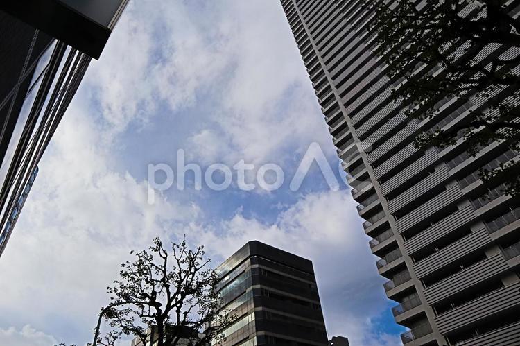 晴れた日　青い空　白い雲　高層ビル　２３ 空,背景,もくもくの写真素材