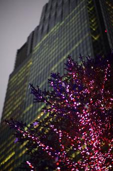 クリスマス クリスマスの写真