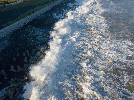 太平洋の海岸 太平洋の海岸の写真