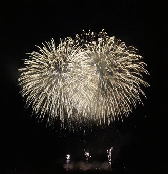 夜空に広がる黄金の花火 夜空に広がる黄金の花火の写真