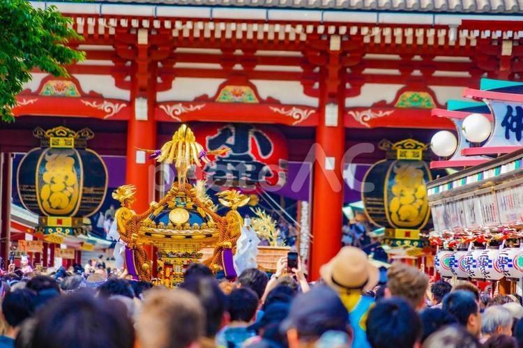 三社祭の鮮やかな神輿 群衆,祭り,神輿の写真素材