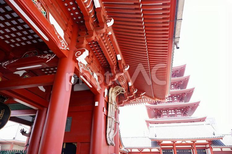 五重塔と宝蔵門の眺め 浅草寺,五重塔,宝蔵門の写真素材