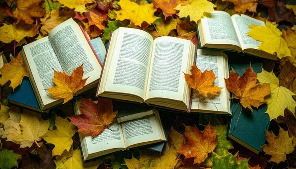 読書の秋　机の上の本　落ち葉の紅葉の写真