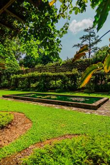 【シンガポール】植物園オーキッドガーデンの写真