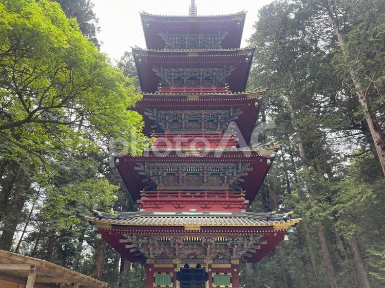 五重塔(日光東照宮) 五重塔(日光東照宮) 日光東照宮,五重塔,日光山の写真素材