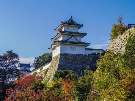 【兵庫県】明石市・明石城跡 明石城跡,明石市,兵庫県の写真素材