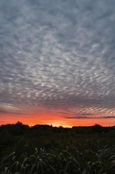 オレンジ色の空 朝焼け,日の出前,早朝の写真素材