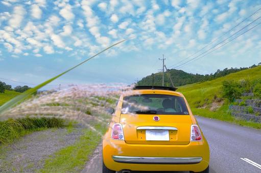 すすき&イタ車① すすき&イタ車①の写真