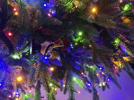 クリスマスツリー クリスマスツリー クリスマス,クリスマスツリー,christmasの写真素材