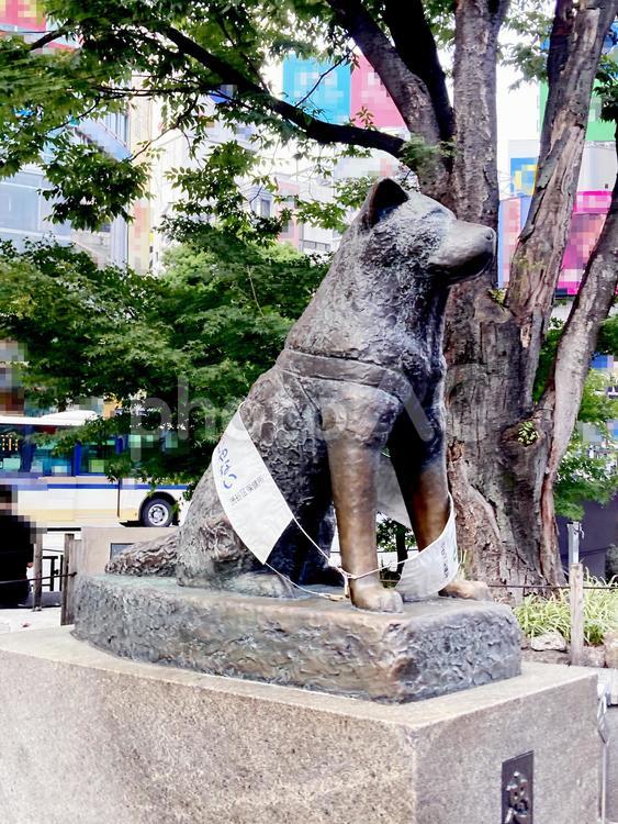 東京風景・渋谷 渋谷,ハチ公,忠犬ハチ公の写真素材