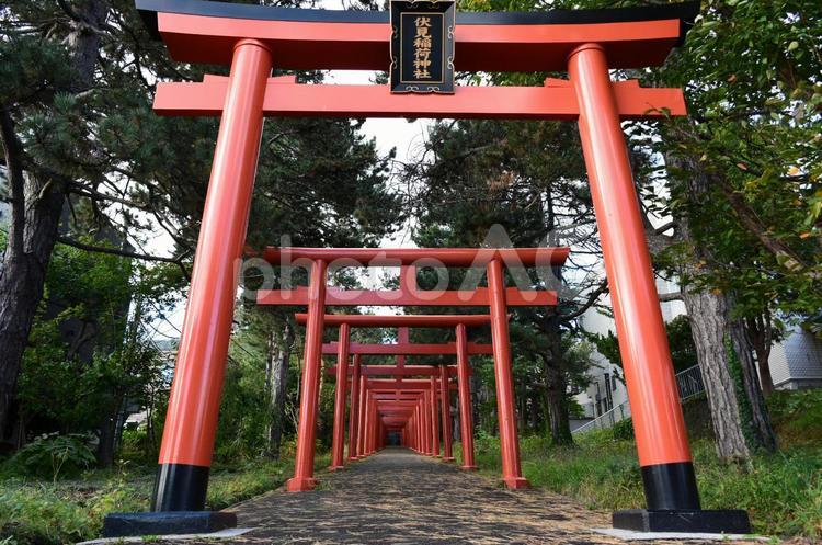 北海道　伏見稲荷神社 パワースポット,神社,伏見稲荷神社の写真素材