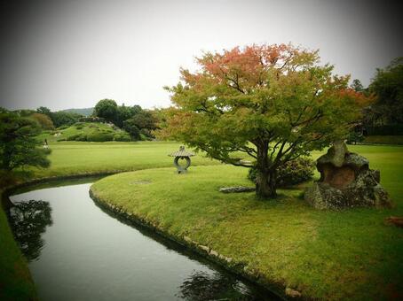 後楽園 後楽園 公園,木,風景の写真素材