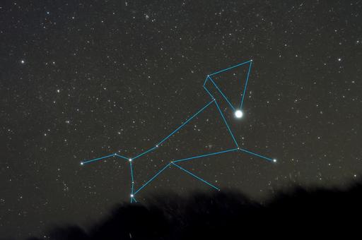 おおいぬ座(星座線)・天体 おおいぬ座(星座線)・天体の写真