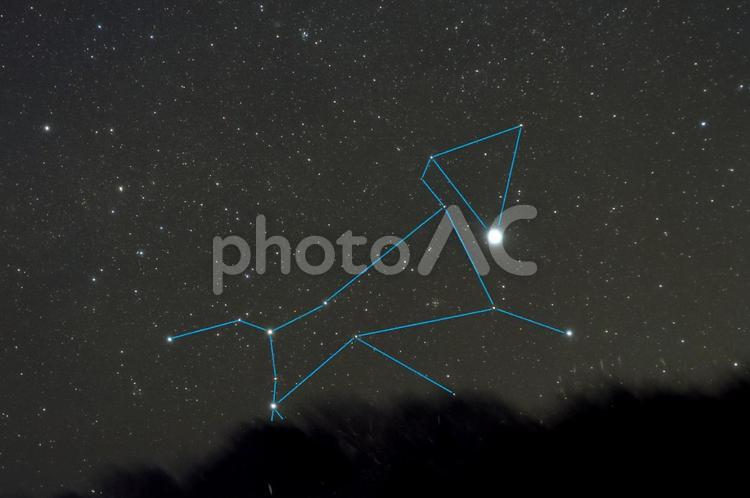 おおいぬ座（星座線）・天体 おおいぬ座,星座,星座線の写真素材