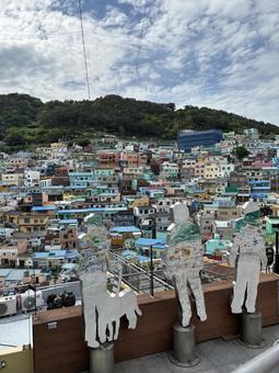 甘川文化村に溶け込む 甘川文化村に溶け込む 韓国,釜山,甘川文化村の写真素材