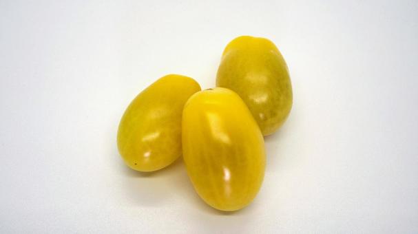 사진, 화려한 토마토, 방울 토마토, 야채, 