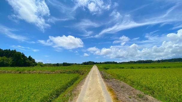 夏の奥能登 田園風景 夏の奥能登 田園風景 能登,奥能登,珠洲の写真素材