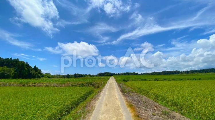 夏の奥能登　田園風景 能登,奥能登,珠洲の写真素材